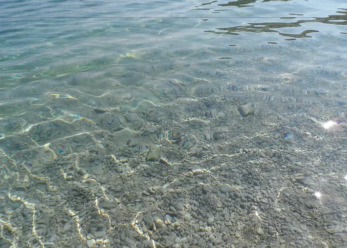 Galeb Pag - Gasthuis Pag Town